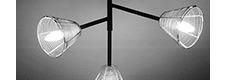 Twig Light